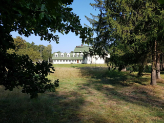 Klasztor Franciszkanów w Józefowie